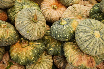 Green Pumpkins background