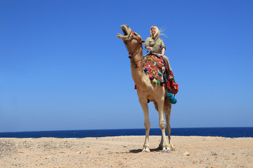 glückliche Frau als Tourist auf einem Kamel am Meer