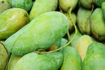 Green Mango Fruit Background
