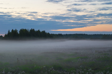 Fototapeta na wymiar Fog over the plain