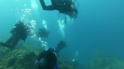 Divers underwater swimming in the sea