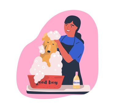 Dog washing service flat vector illustration
