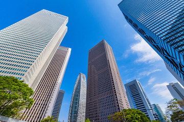 Fototapeta na wymiar 新緑の西新宿 高層ビル街の風景