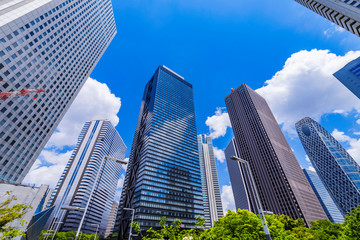 新緑の西新宿 高層ビル街の風景 © picture cells