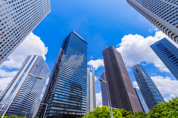 新緑の西新宿 高層ビル街の風景 © picture cells