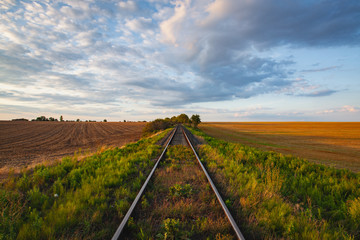 Fototapeta na wymiar Old Railway tracks running through a field stretch to rural countryside at sunset.