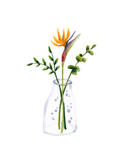 Poster with watercolor bouquet with Strelitzia flower in glass vase. Illustration isolated on white. Hand drawn composition perfect for postcard, interior design, wallpaper, fabric textile