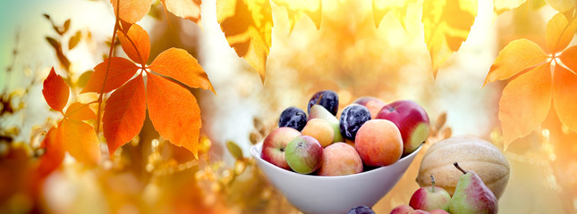 Fototapeta na wymiar Seasonal organic fruit, autumn harvest in bowl
