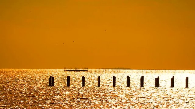 abandon concrete pillar in the sea and birds flying on sunset sky