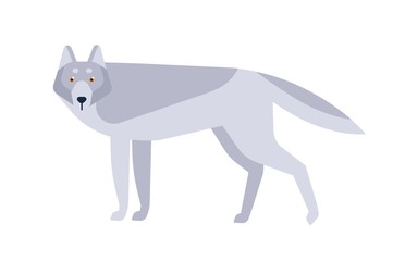 Wolf flat vector illustration
