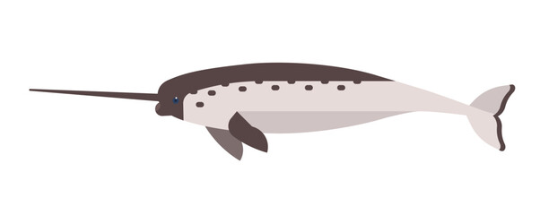 Narwhal flat vector illustration © Good Studio