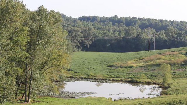 pond in the wooded hills