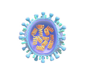 3d illustration of influenza virus