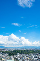 Urban Landscape of Osaka