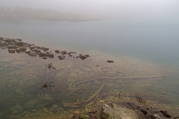 Mysterious atmosphere: a misty lake, dead trees sunk to the bottom