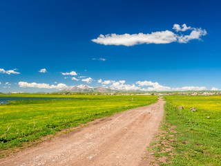 Dirt country road leading to village in Samtskhe-Javakheti, Georgia