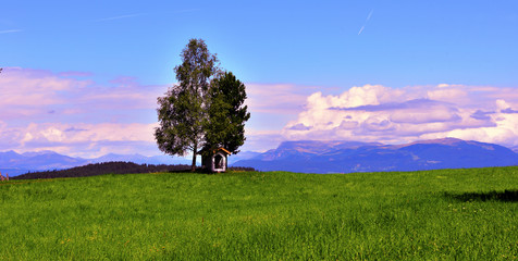 meadows and dolomitic panorama to nova ponente alto Adige Italy