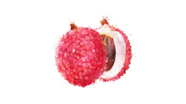 Watercolor appearance animation of the lichi on the alpha channel.