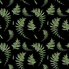 Fern leaves,  watercolor hand drawn seamless pattern with plant isolated on black background.