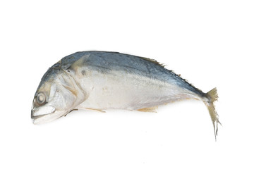Steamed mackerel isolated on white background