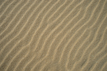 Fototapeta na wymiar sable gros plan