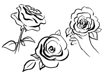 Simple line art hand drawn black ink botanical set with beautiful abstract rose flowers isolated on white background