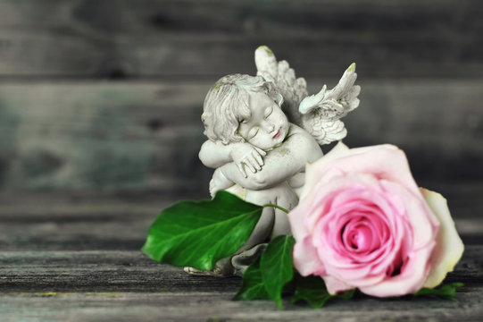 Angel and rose on old wooden background