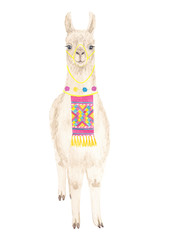 Cute cartoon llama alpaca character watercolor hand drawn illustration. Good for poster, greeting, birthday card, baby shower  and nursery design and party decor © Lelakordrawings