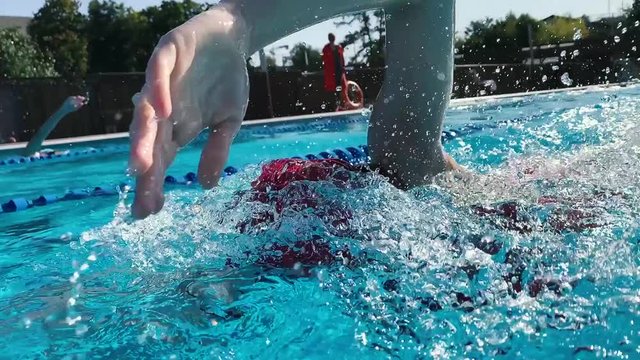 Professional swimmer training freestyle in olympic pool