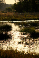 okawanko deltar botswana