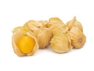 Cape Gooseberry (Physalis  Peruviana) or Ground cherries, Physalis minima, Pygmy ground cherry, Inca berry, Golden strawberry, Strawberry tomato, Husk tomato isolated on white background