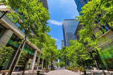 Obraz na płótnie Canvas 新緑の丸の内仲通りの風景 / The scenery of Marunouchi Nakadori Street where the greenery of the trees is bright. Chiyoda, Tokyo, Japan.