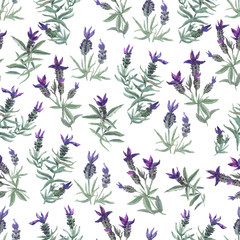 watecolor French lavender delicate seamless pattern on white background