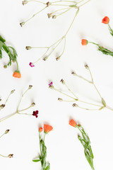 Flatlay of flowers on white background