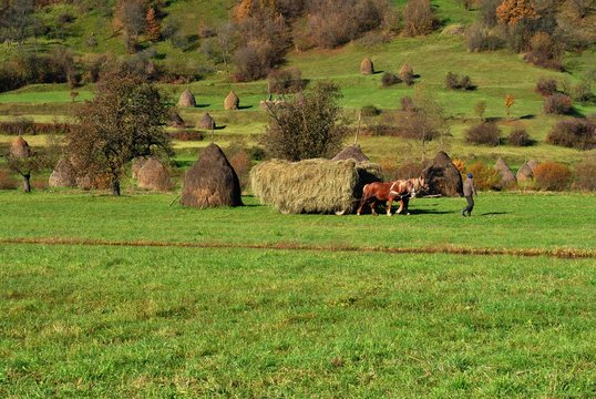 Autumn in Maramures, Romania