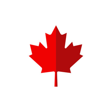 canadian maple leaf in flat style, vector