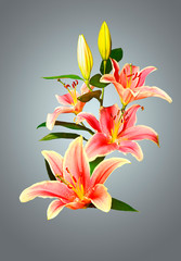 Lilies in a bouquet