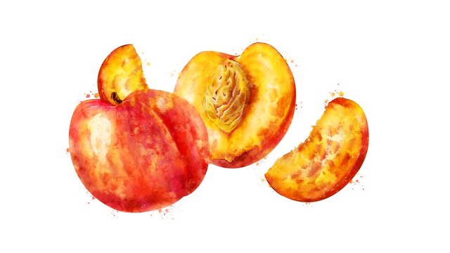 Watercolor appearance animation of the peach on the alpha channel.