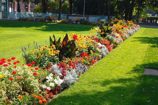 Bl&uuml;hende bunte Sommerblumen, Blumenbeet an einer Rasenfl&auml;che