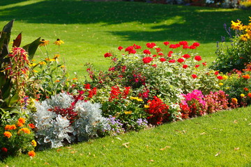 Bl&uuml;hende bunte Sommerblumen, Blumenbeet an einer Rasenfl&auml;che