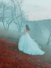 Cinderella hurries to the ball in a stylish wavy blue dress. Shooting from the back without a face. A mysterious woman walks in autumn mist on a hill. Gothic foggy atmosphere. Vintage romantic image.