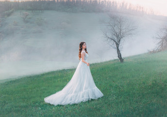 A fabulous woman stands against the backdrop of a mountain landscape in a white vintage ball gown....
