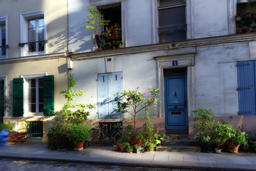 Fototapeta na wymiar famous colored street in Paris