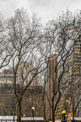 New York City, NY, USA - December, 2018 - Streets of Manhattan, Skyline view from Bryant Park.