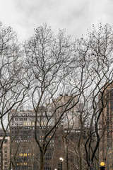 New York City, NY, USA - December, 2018 - Streets of Manhattan, Skyline view from Bryant Park.
