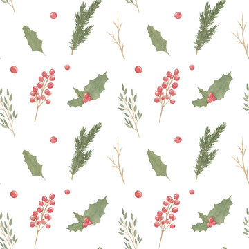Watercolor hand drawn winter  seamless pattern with Christmas plant and berries  isolated on white background. 