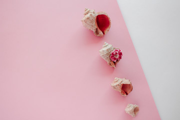 Sea shells with flower on pink background. Closeup view, flat lay