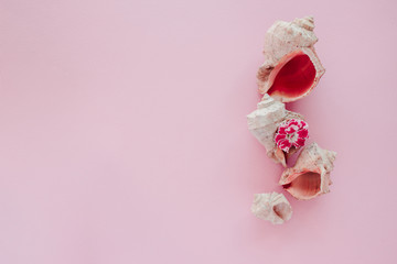 Sea shells with flower on pink background. Closeup view, flat lay
