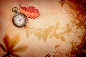 Autumn, nostalgia, time. A vintage watch on old paper with organic plant shadows and a vibrant autumn leaf, with copy space. Toned image