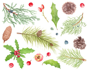Watercolor hand drawn Christmas plant and berries set with  fir branches, juniper, holly, rose hip, cone isolated on white background. 